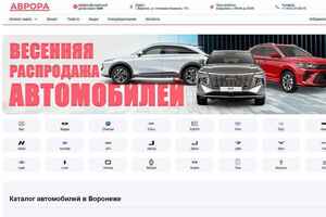 Аврора Воронеж preview -1